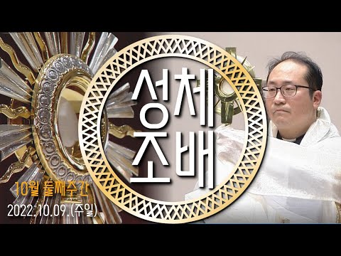 영상썸네일