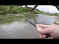 THESE FISH ARE POWERFUL! (river fishing)