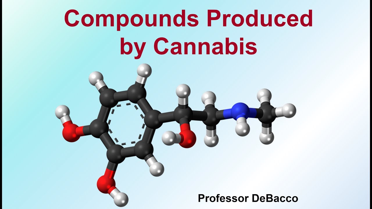 Compounds Produced by Cannabis