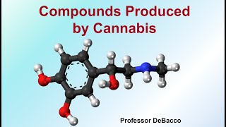 Compounds Produced by Cannabis