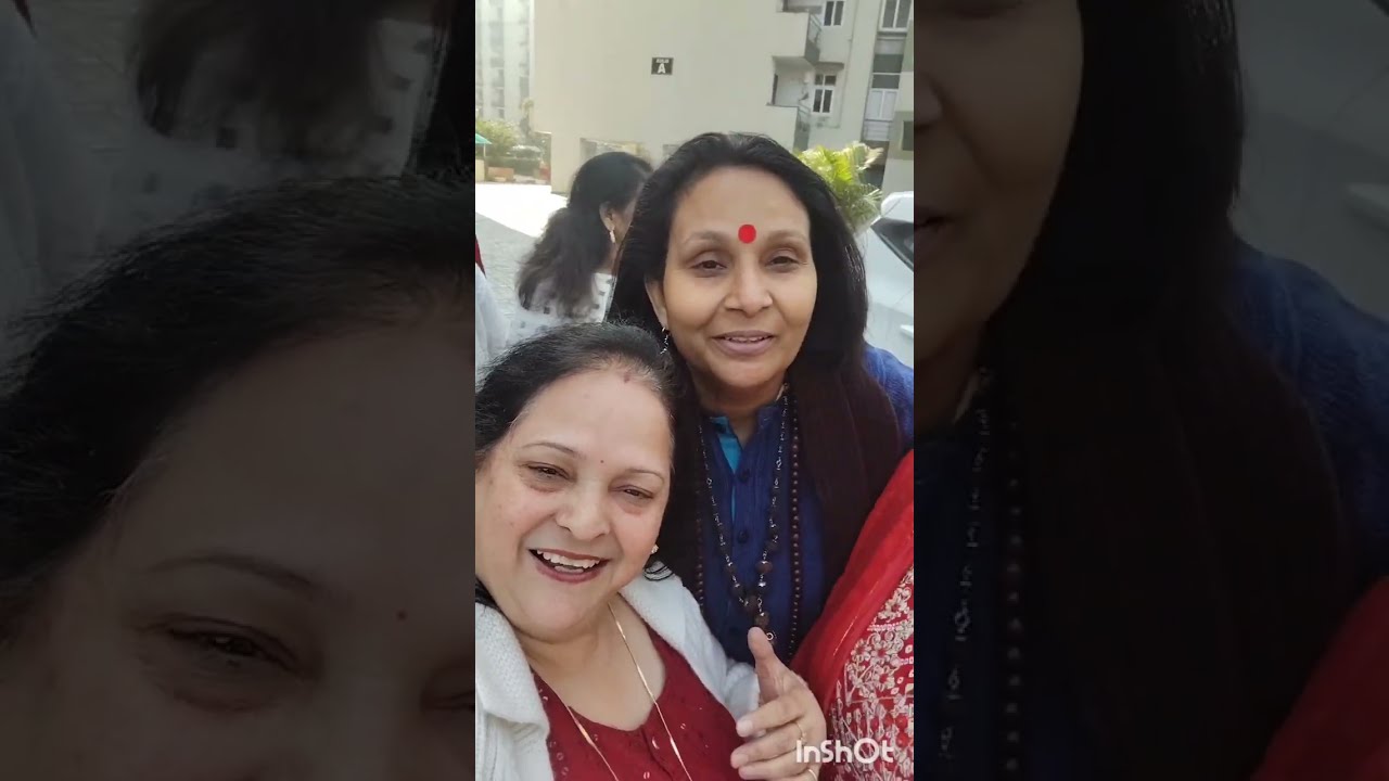 December's Kitty Winter Celebration🎉🎉🎉🎉🎉