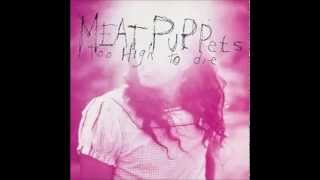 Meat Puppets - Flaming Heart