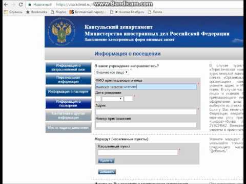 Как правильно заполнить электронную форму российской визовой анкеты