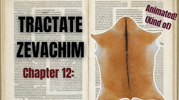 An Animated Summary of the Entire Talmud | Book 30, Chapter 12