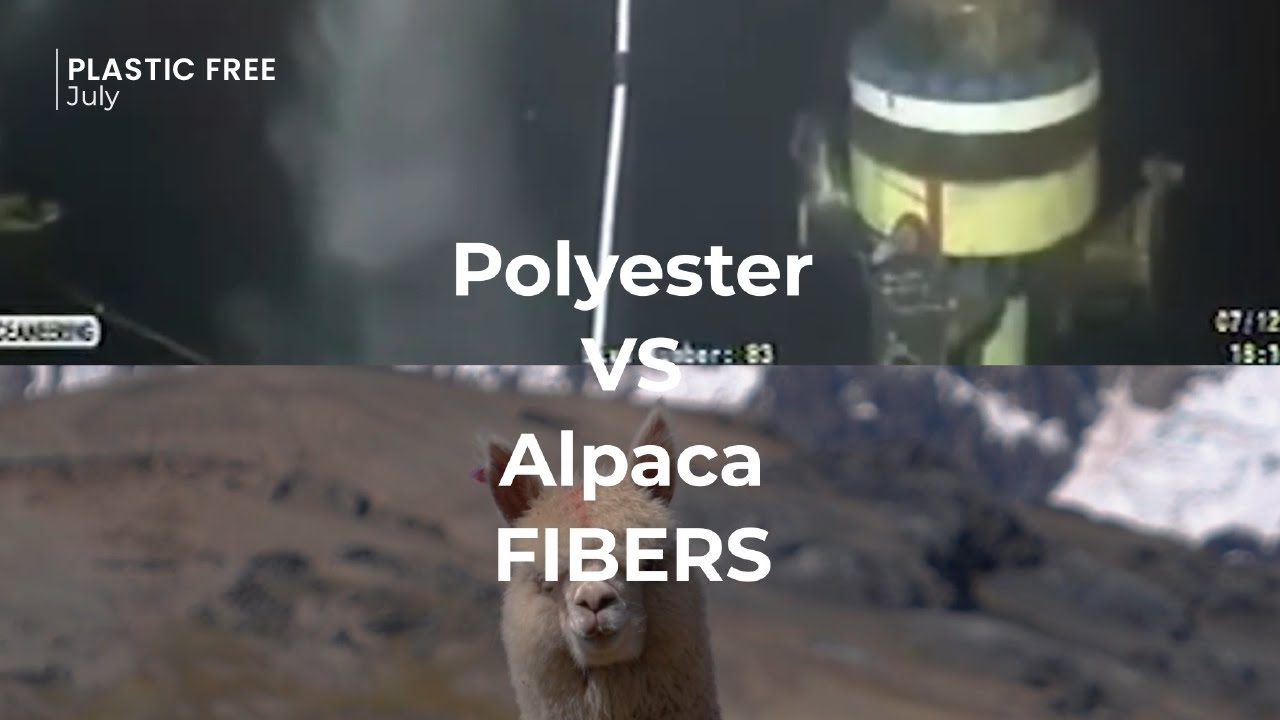 Polyester fiber vs alpaca fiber - What’s Behind Your Clothes?