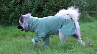 Hurtta Rain Blocker Eco Regndragt