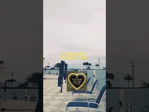 PITTSBURGH TOOK OVER PARADISE FLORIDA TODAY Tomassotoosoontoobefamous Love Motivation 