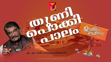 തുണി പൊക്കി പാലം ഗർഭിണിയായ കഥ ..| M .M സലീം