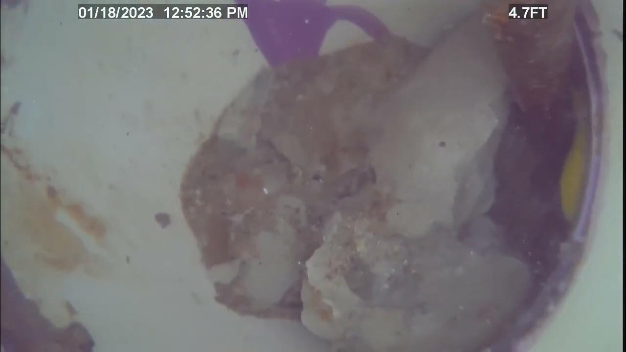 sprouts palmdale YouTube