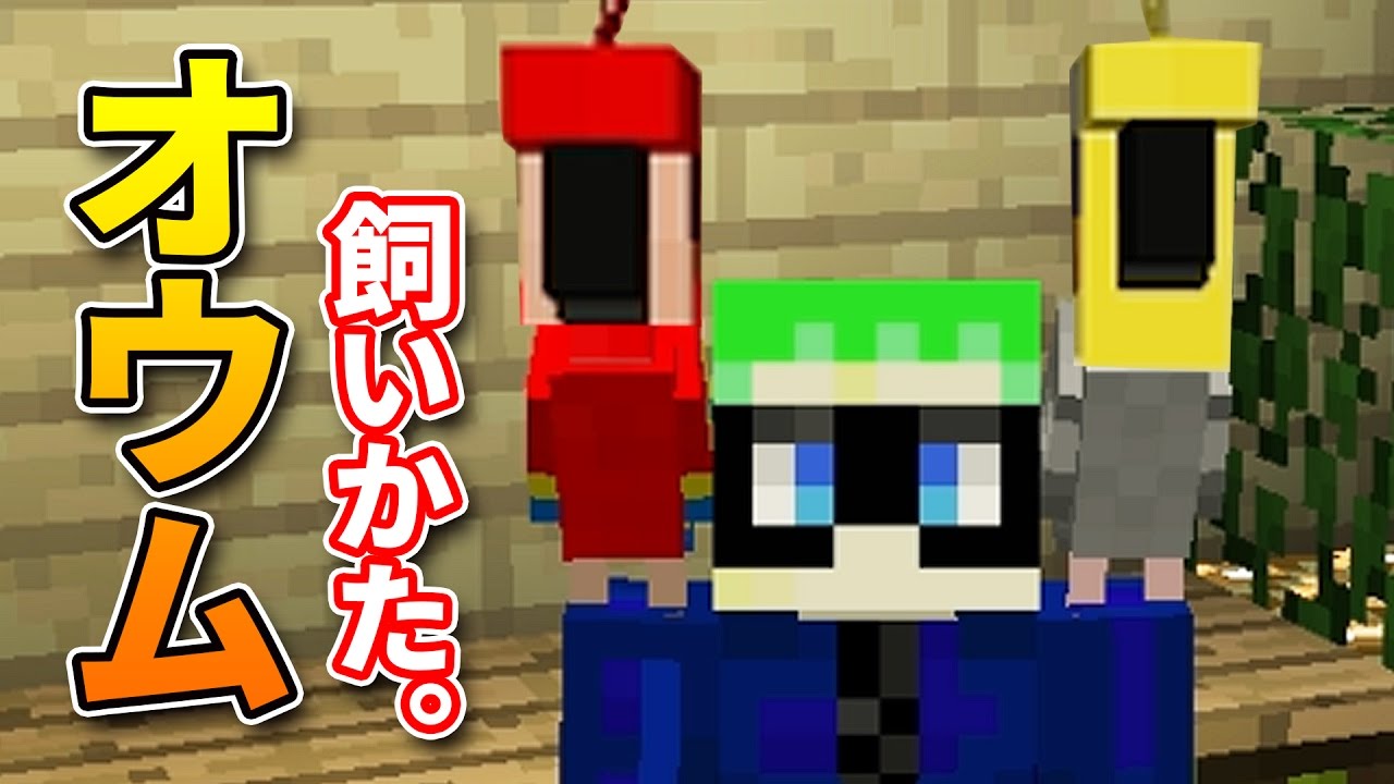 マイクラ オウムの飼いかた 肩に乗せる方法 クッキー 種 Youtube