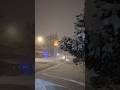 #snow #winter #february2025 #ny #USA #сша #сніг #зима #shortsfeed #shorts #evening