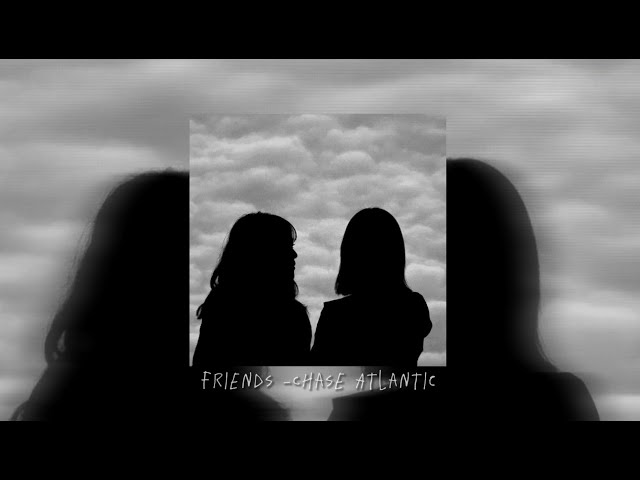 Stream Friends-Chase Atlantic (cover) by Reller