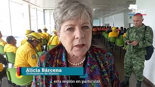 Llegada de brigadistas de México a la Región del Biobío.