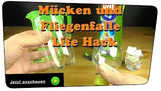 Beste Mücken und Fliegenfalle selber bauen - Life Hack | DIY