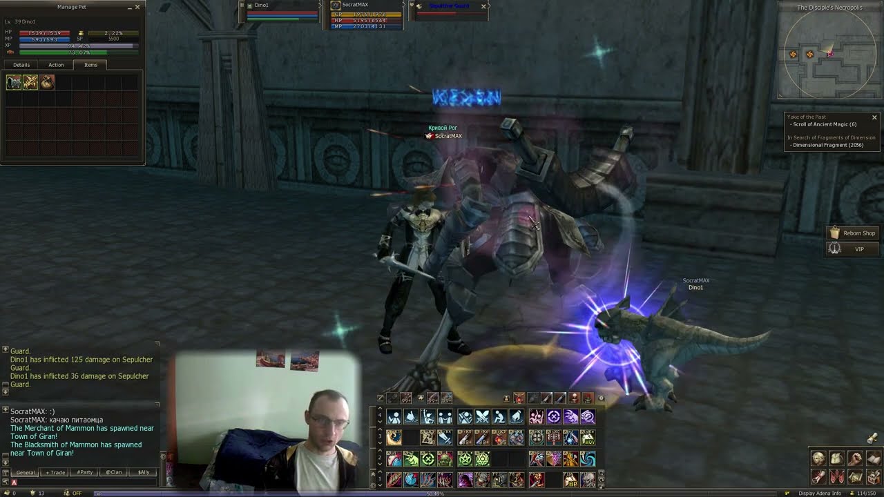 Качаю дракончика. Lineage 2 - Reborn Eternal IL x10