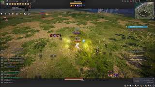 Succesion Striker CC Reset (Black Desert Online)