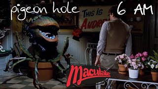 Maculate | Pigeon Hole - 6 AM