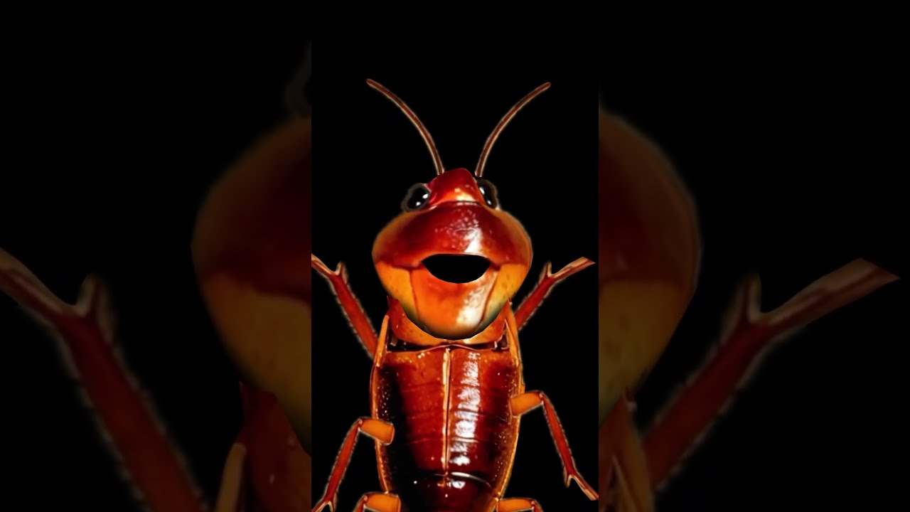 Pls Like And Subscribe Funny