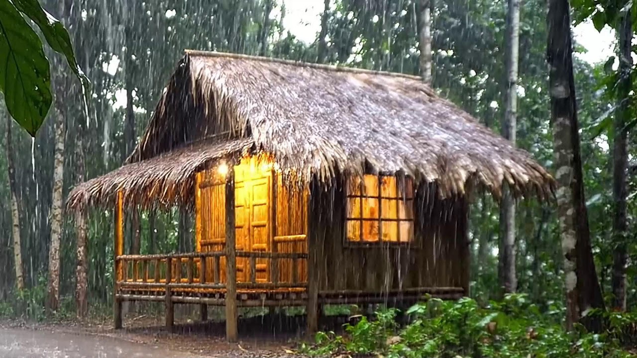 🔴 LIVE Heavy Rain & Thunder in the Forest 🌧️🌩️ Rain Sounds for Sleeping