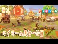 【あつまれどうぶつの森】　マイホーム周り〜公園紹介