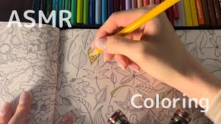 【ASMR】1hour🎨 Coloring with colored pencils/ No talking •色鉛筆でぬりえ