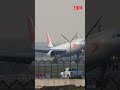 Airbus A330-300 is the giant of Uzbekistan aviation
