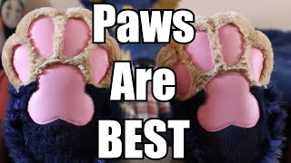10 Reasons Why Paws Are The BEST