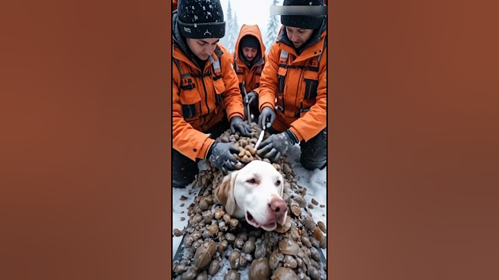 Rescue Mission: Removing Millions of Barnacles from Injured Dog in Snow