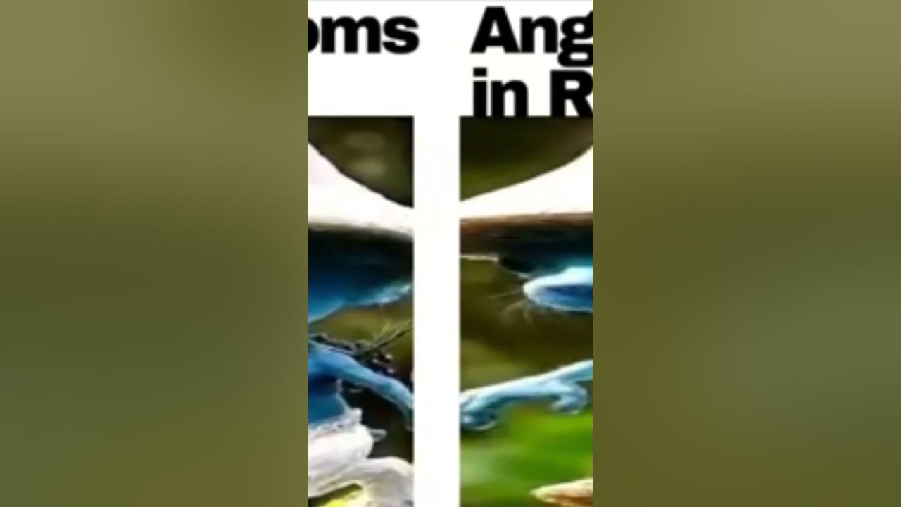 STRUMF CAT SHORT VERSION - YouTube
