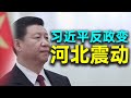 习近平遭遇政变？马云是反习势力重要成员！军警大举攻打大午城。河北震动