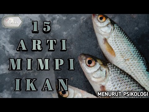 Video: Kenapa Mangkuk Ikan Buruk untuk Ikan Anda