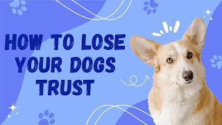 10 WAYS TO LOSE YOUR DOGS TRUST