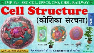 Cell structure (human cell) । कोशिका  संरचना।  animal cell & plant cell class 8,9,10,11_mp4