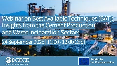 Best Available Techniques: Insights from the Cement Production and Waste Incineration Sectors