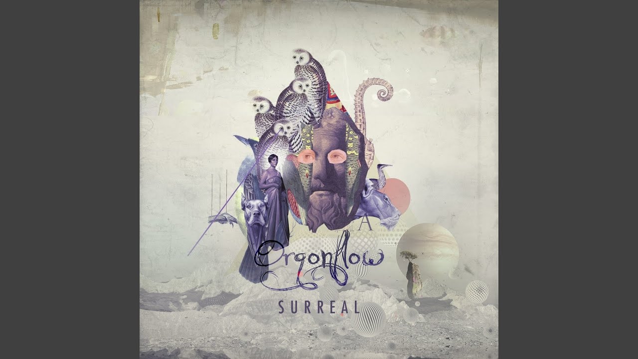 Tranceschnitte adlı videoyu YouTube'da izle Tranceschnitte adlı videoyu YouTube'da izle