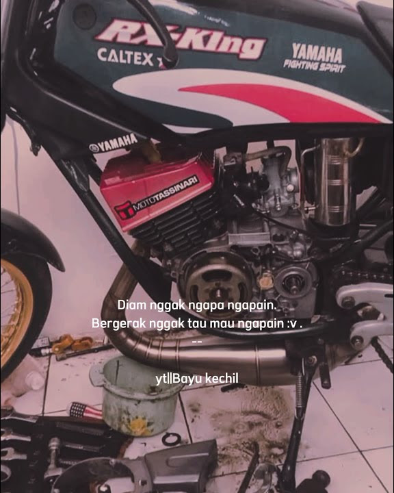 story wa rx king#bingung