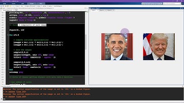 Low rank approximations: Barack Obama vs. Donald Trump