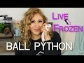 How to switch ball python from live to frozen in 1 month 2019