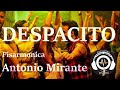 Despacito Luis Fonsi (Antonio Mirante) cover fisarmonica accordion acordeón