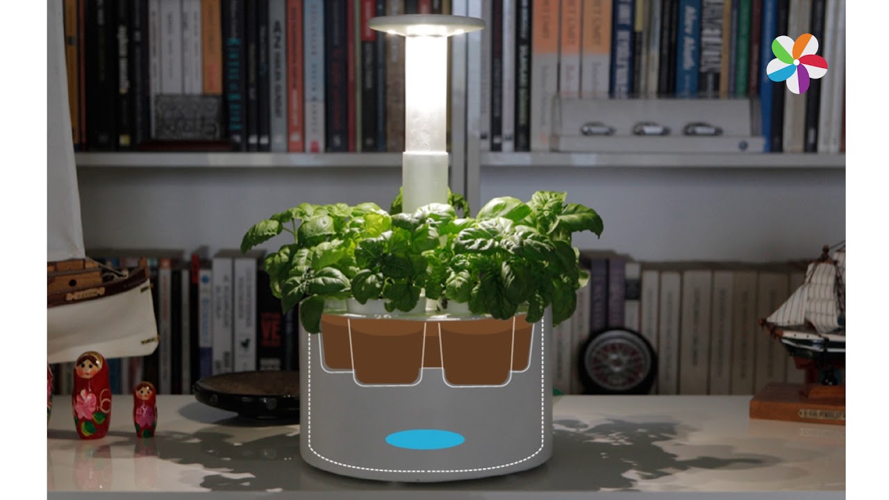 Plantone Diversity Watering System