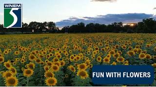 Frankenmuth Flower Festival