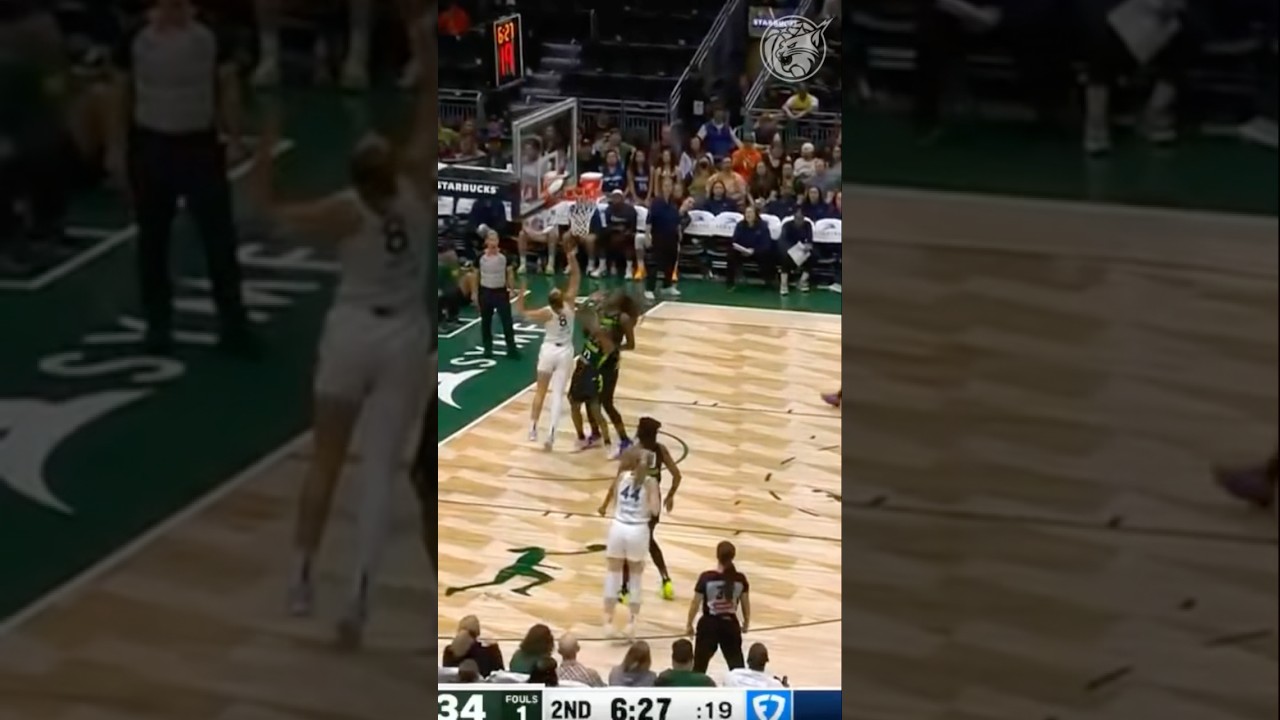 THE STEAL ➡️ THE TRANSITION ➡️ THE BUCKET