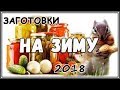 Лес и заготовки на зиму. Жизнь в деревне.