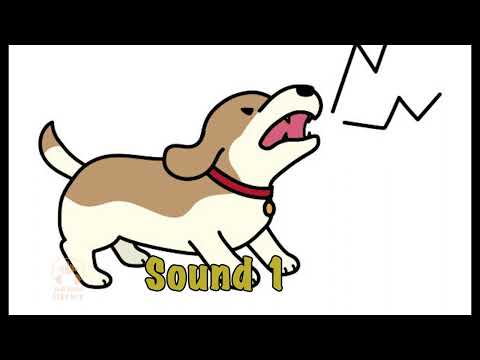 Dog Bark Sound Effects 