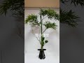 松竹梅