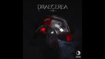 Delusional Circuits - Segmentation Fault