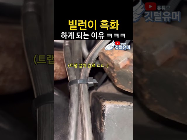 웃음소리 사악한거보소 ㅋㅋㅋㅋㅋ