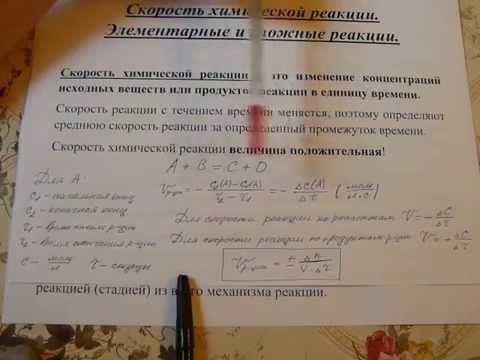 Скорость химической реакции. Гомо- и гетерогенные реакции. Механизм реакции.