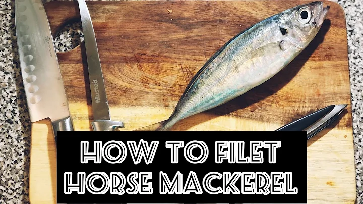How to filet horse mackerel (scad)