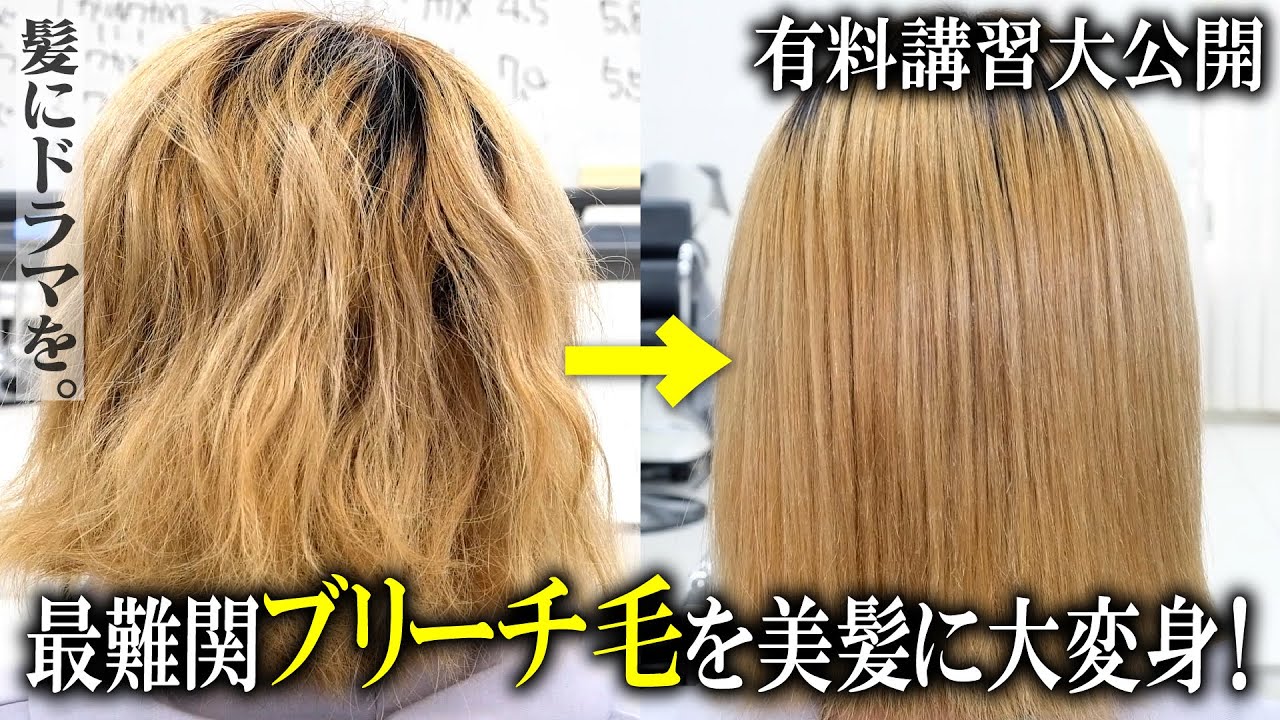 Paid version] Transform the most difficult bleached hair into
